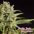 Fruity Jack (Philosopher Seeds)