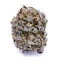 Blue Haze (Zamnesia Seeds)