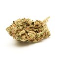 White Widow (Zamnesia Seeds)