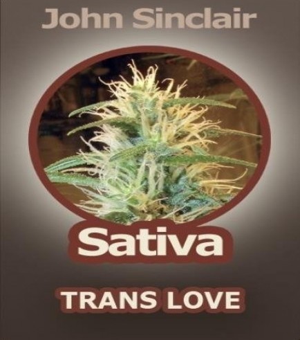 Trans Love (John Sinclair Seeds)
