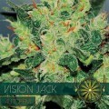 Vision Jack Autofiorente (Vision Seeds)