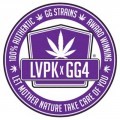 Purple Glue