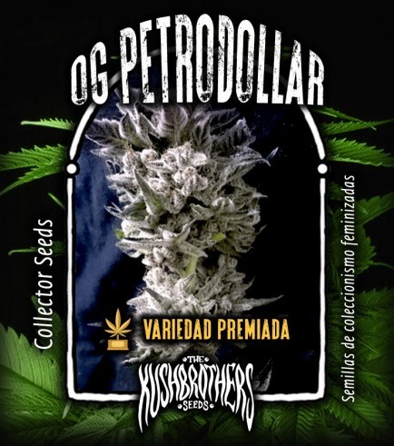 Petrodollar (KushBrothers)