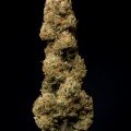 Cheese CBD (Dinafem)