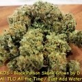 Black Poison Skunk (Kingdom Organic Seeds)