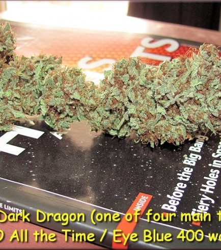 Dark Dragon (Kingdom Organic Seeds)