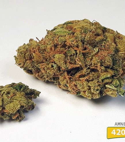 Amnesia Lemon (420.pixels)