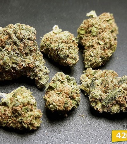 Blue Cheese (420.pixels)