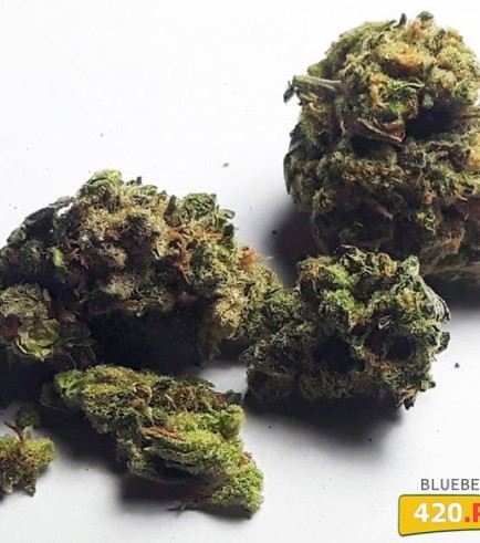 Blueberry Haze (420.pixels)