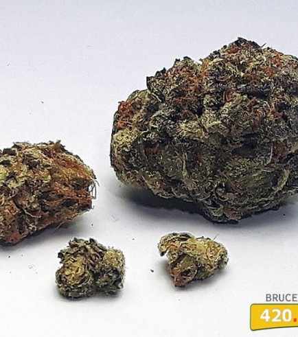 Bruce Banner 3 (420.pixels)