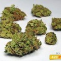 G13 Haze (420.pixels)