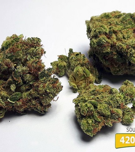 Sour Diesel (420.pixels)