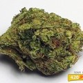 Sour Diesel (420.pixels)