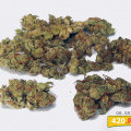 Dr. Grinspoon (420.pixels)