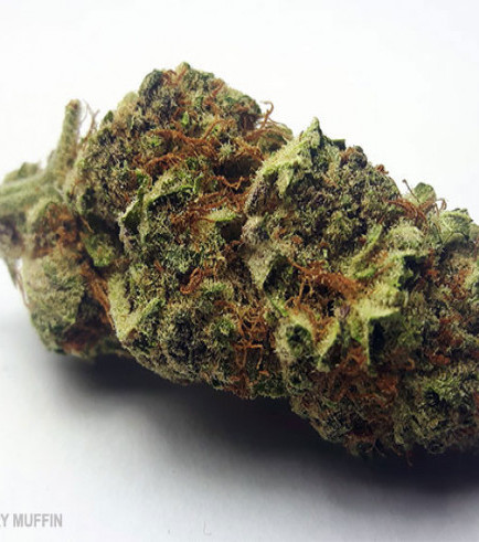 Blueberry Muffin (420.pixels)