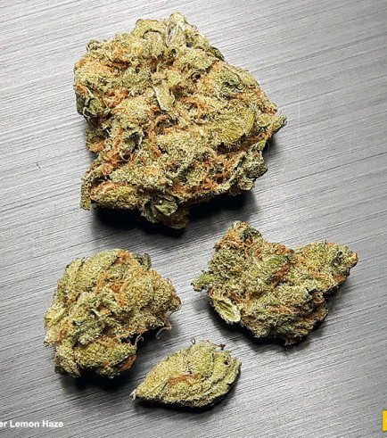 Super Lemon Haze (420.pixels)