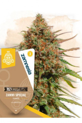Zammi Special