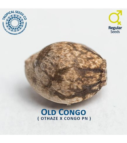 Old Congo