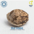 Old Congo