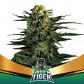 Green Tiger