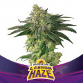 Lebron Haze