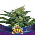 Lebron Haze XXL Auto