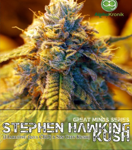 Stephen Hawking Kush