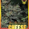 Big Buddha Cheese Automatica (Big Buddha Seeds)