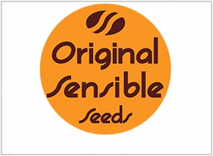 Original Sensible Seeds