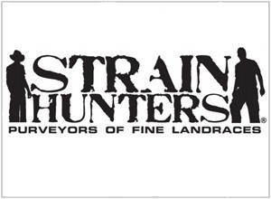 Strain Hunters