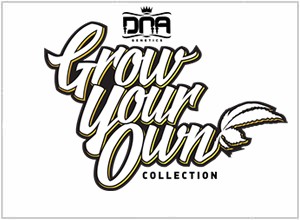 G.Y.O Collection - DNA Genetics