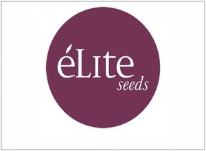 Elite Seeds