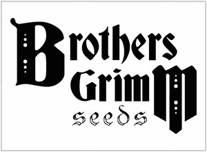 Brothers Grimm Seeds