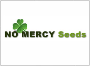 No Mercy Seeds