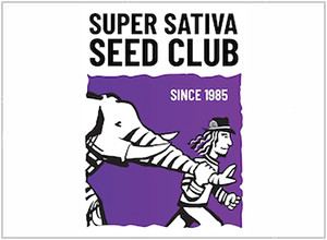 Super Sativa Seed Club