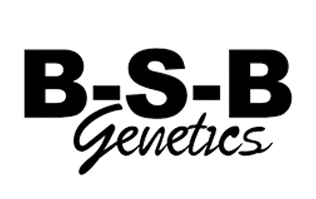 BSB Genetics