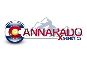 Cannarado Genetics