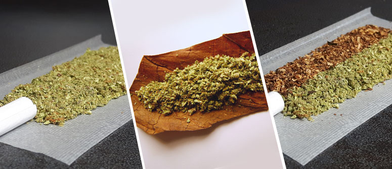 Qual E La Differenza Tra Canna Blunt E Purino D Erba Cannaconnection Com