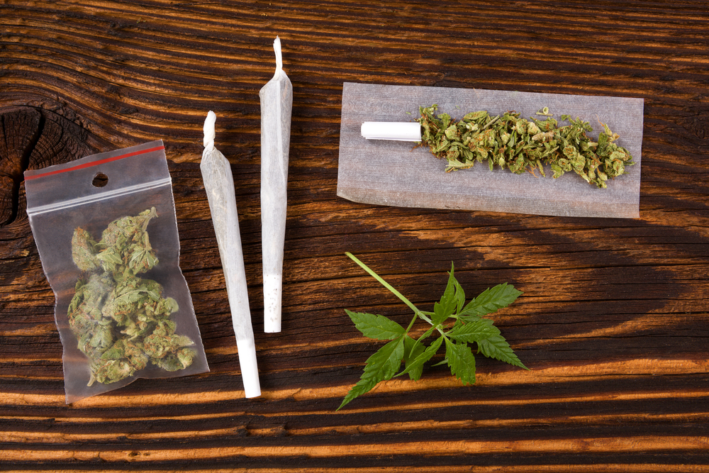 Le Canne Di Cannabis Cosa Sono E Quali Sono Le Loro Origini 