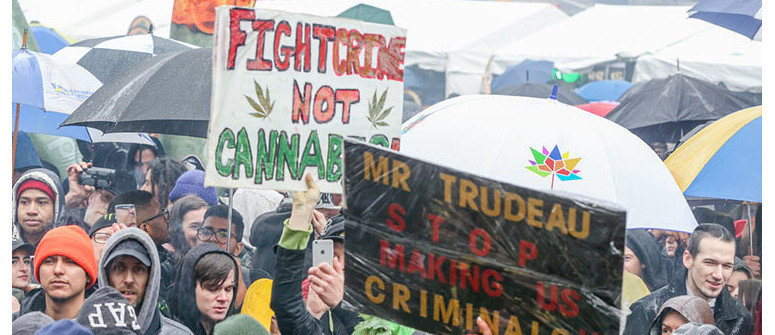 Legalizzazione della cannabis in Canada: una sintesi del primo anno