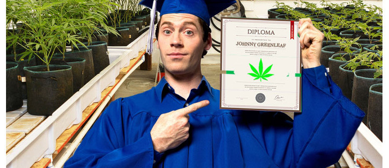 Istruzione Superiore: la Marijuana Insegnata nei College e nelle Università