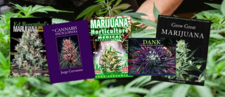 10 libri da leggere per i coltivatori di cannabis principianti