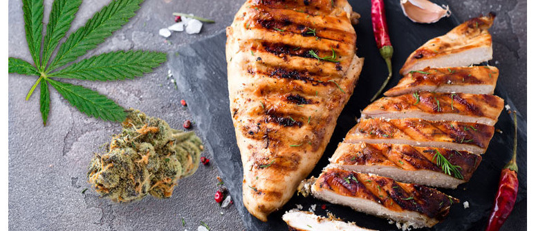 Ricetta del petto di pollo aromatizzato alla marijuana Ricetta del petto di pollo aromatizzato alla marijuana