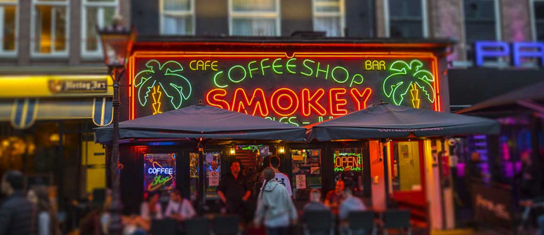 I coffeeshop di Amsterdam: 15 dritte per chi ci va per la prima volta