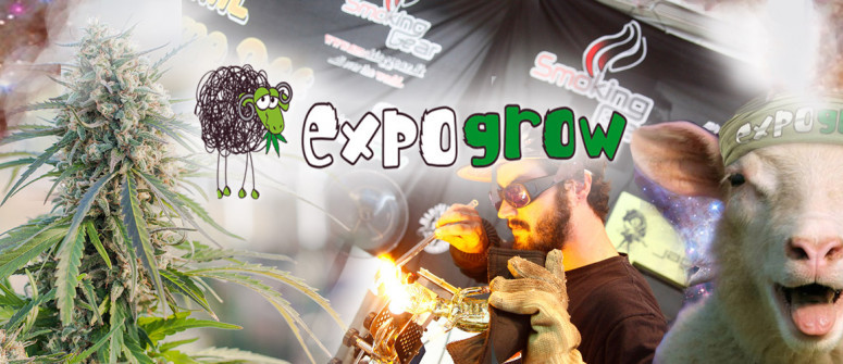 Expogrow - Un Evento Fumante per Tutti gli Appassionati di Cannabis