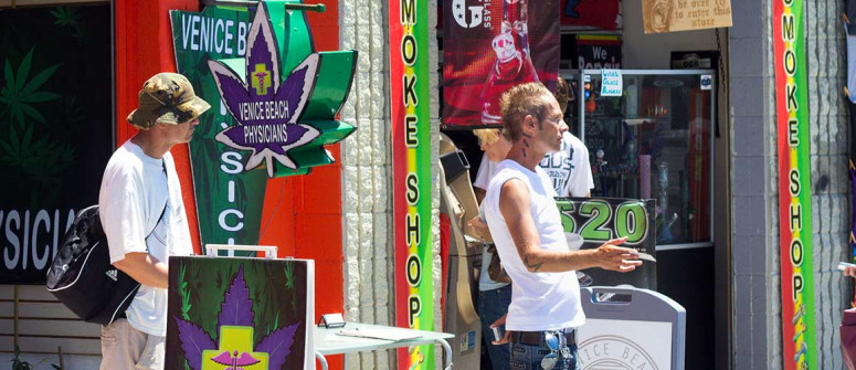 Erba in California: Chi può comprare la marijuana legale in California?