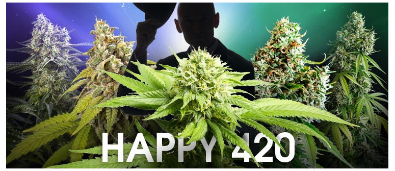 Buon 420! Un Tributo a 5 delle Più Influenti Varietà di Cannabis