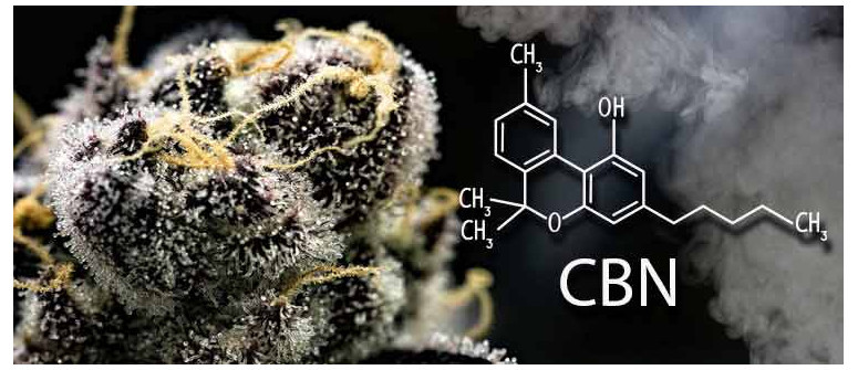 Cos'è il CBN (Cannabinolo)?