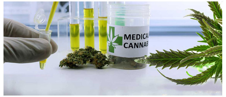 10 Modi in cui la cannabis può essere d'aiuto contro il cancro 10 Modi in cui la cannabis può essere d'aiuto contro il cancro