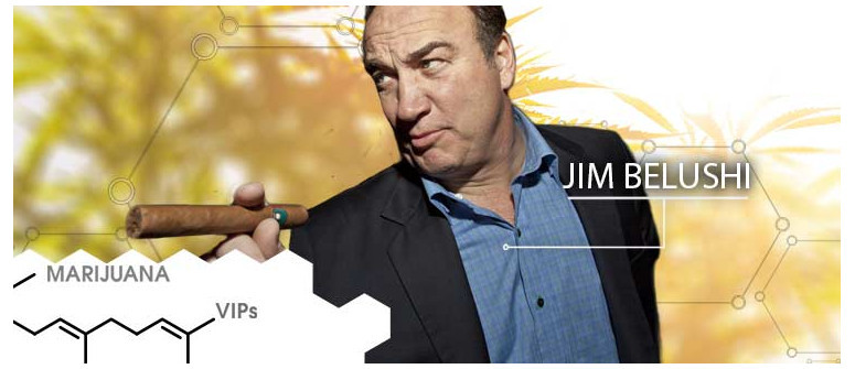 VIP della cannabis: Jim Belushi